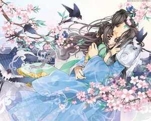 深入了解 流氓软件网页入口在线观看免费